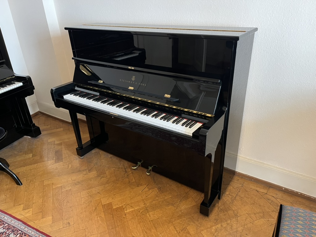 Steinway & Sons V 125