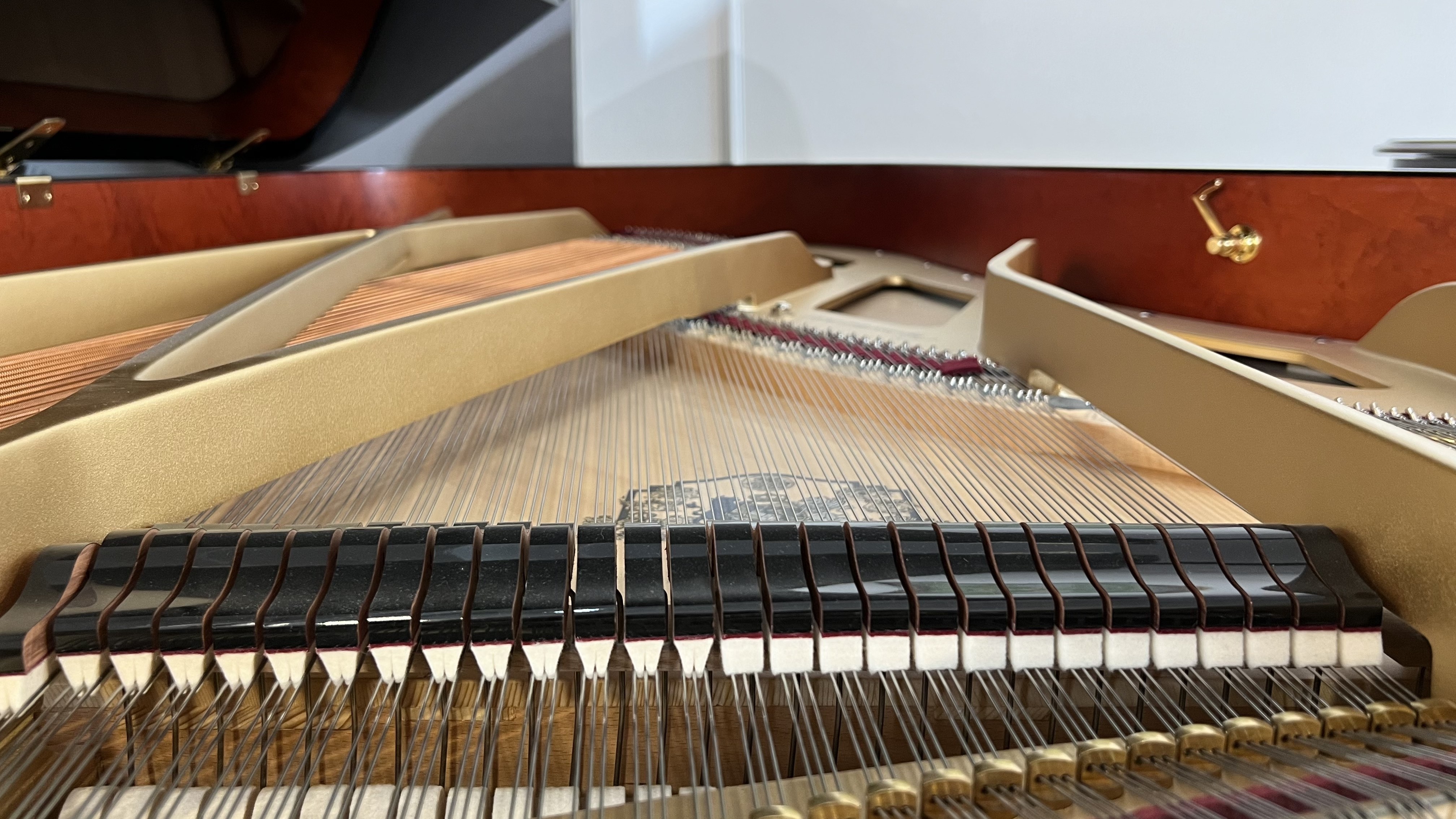 Grotrian-Steinweg GS-225
