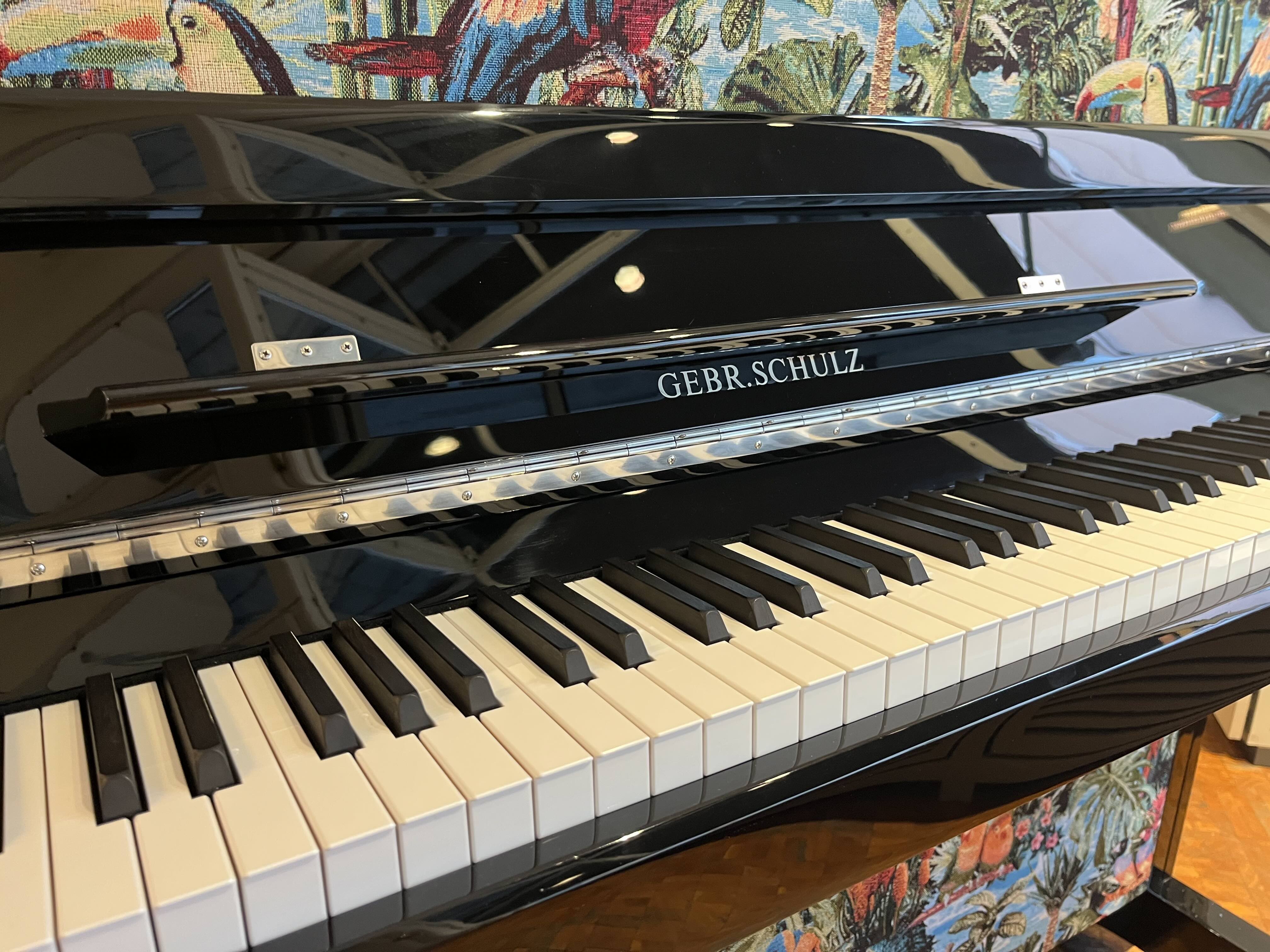 Gebr. Schulz - Dschungelklavier -  Sonderedition im Angebot