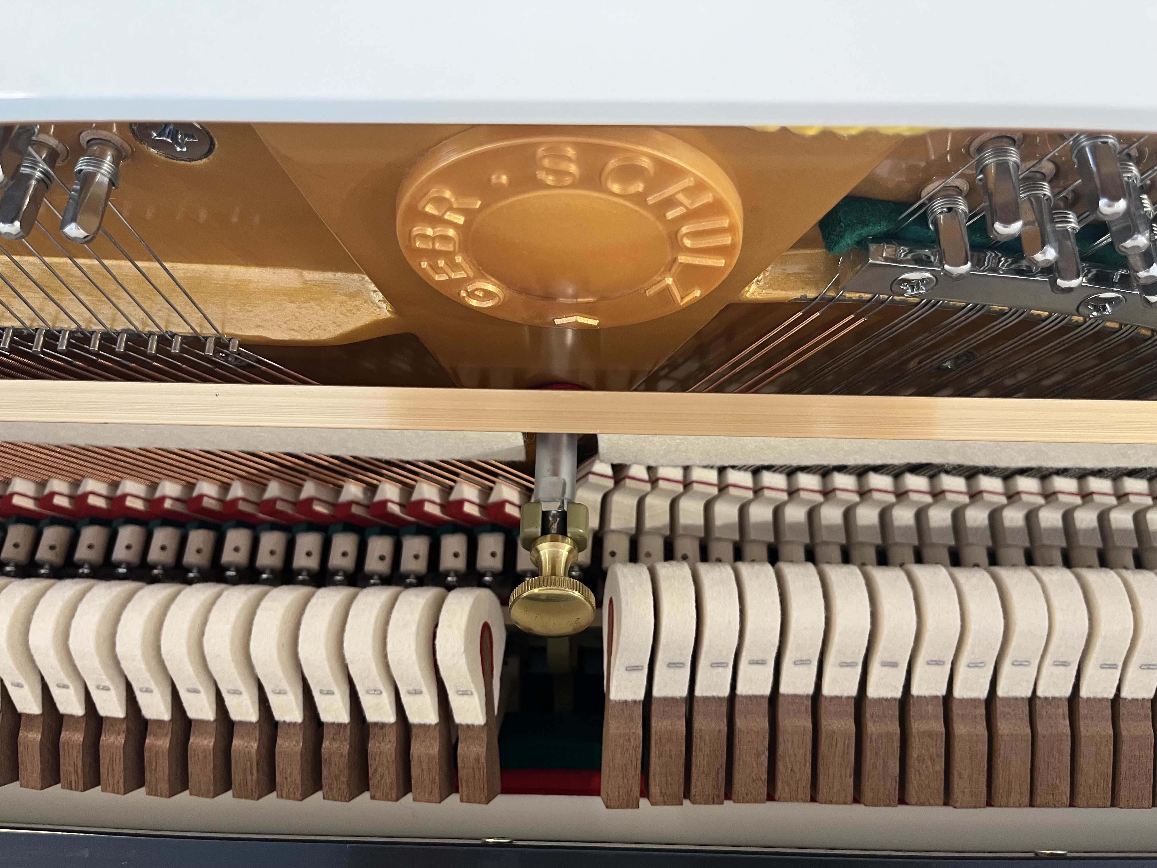 Gebr. Schulz 115 T Tradition - Sonderpreis 4.500 €