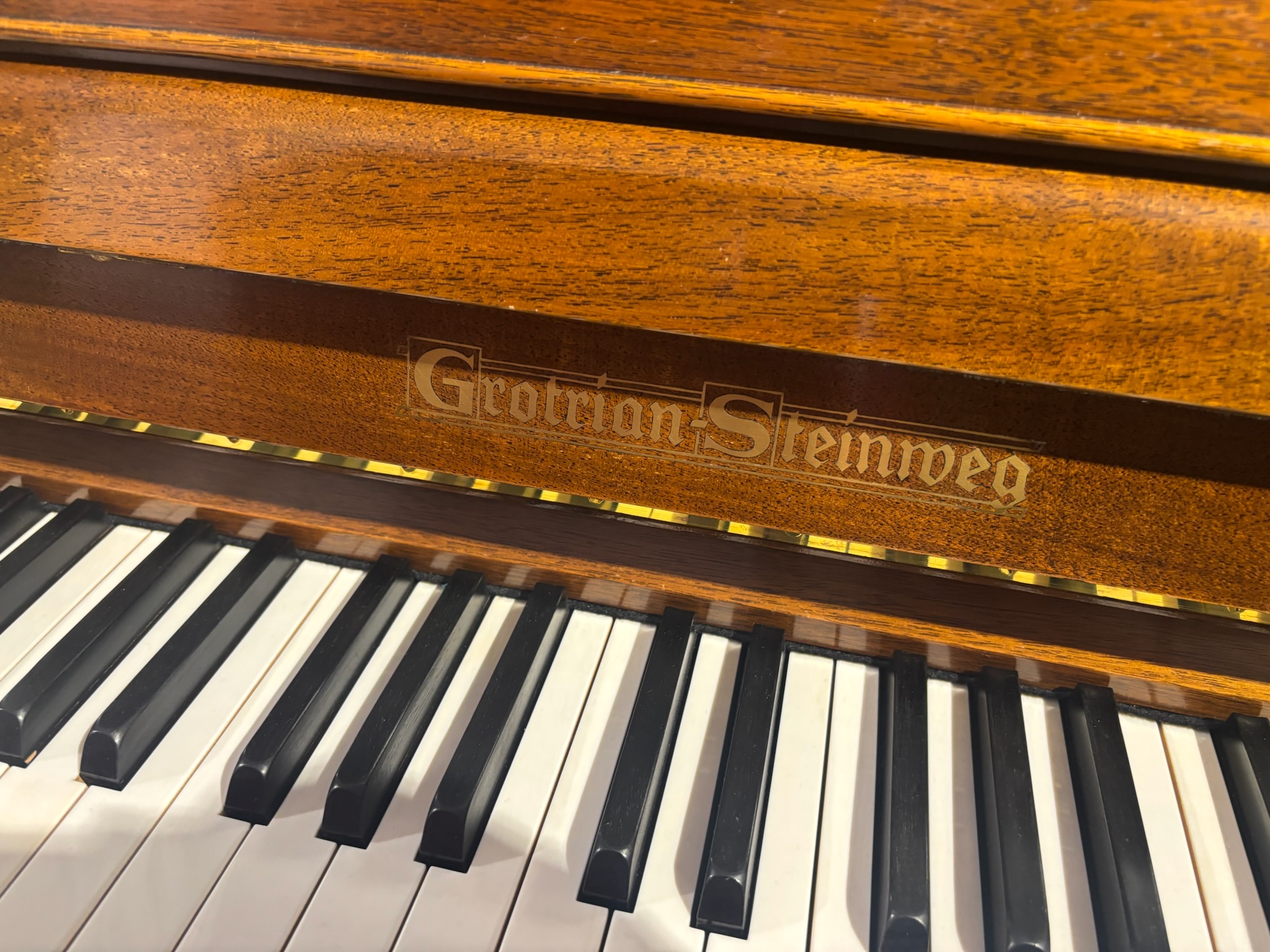Grotrian-Steinweg 110 Stoff 