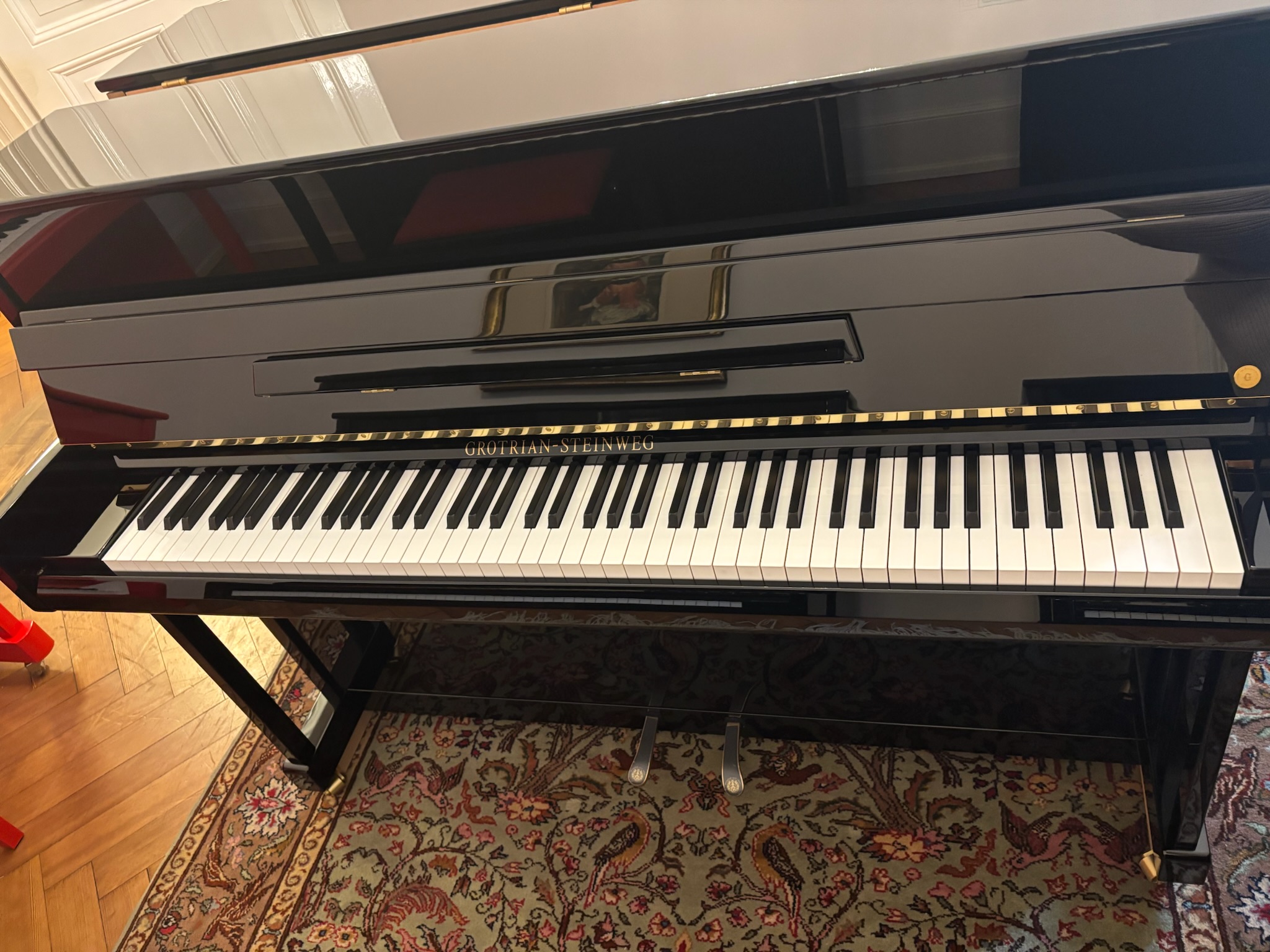 Grotrian-Steinweg GS 113 