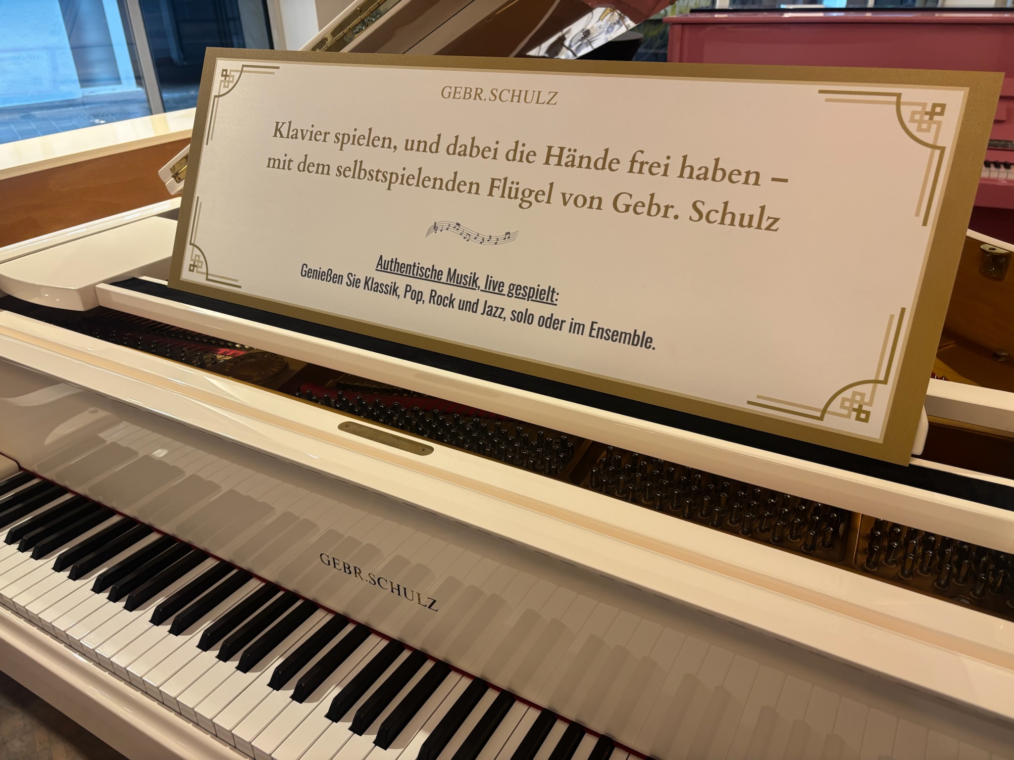 Gebr. Schulz 175C Selbstspieler 