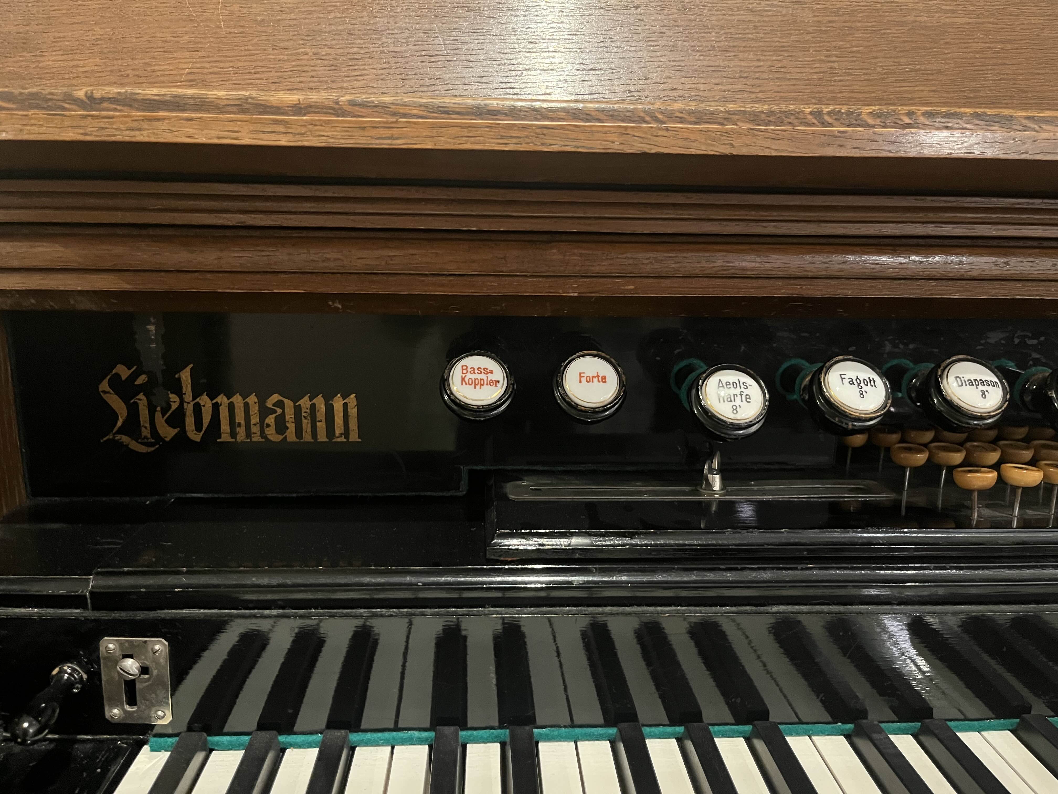 Liebmann: Liebmanista 125