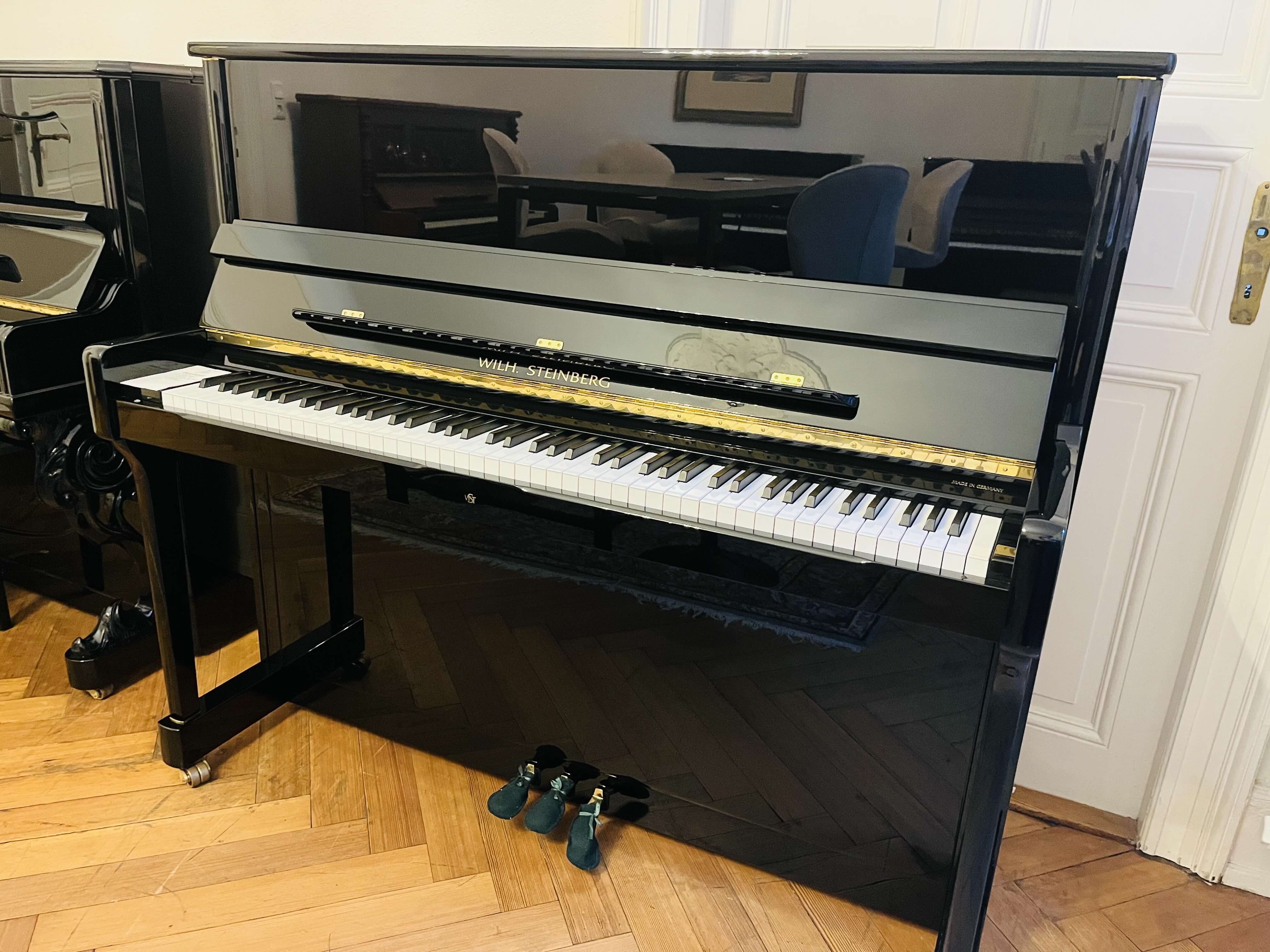 Steinberg IQ 28