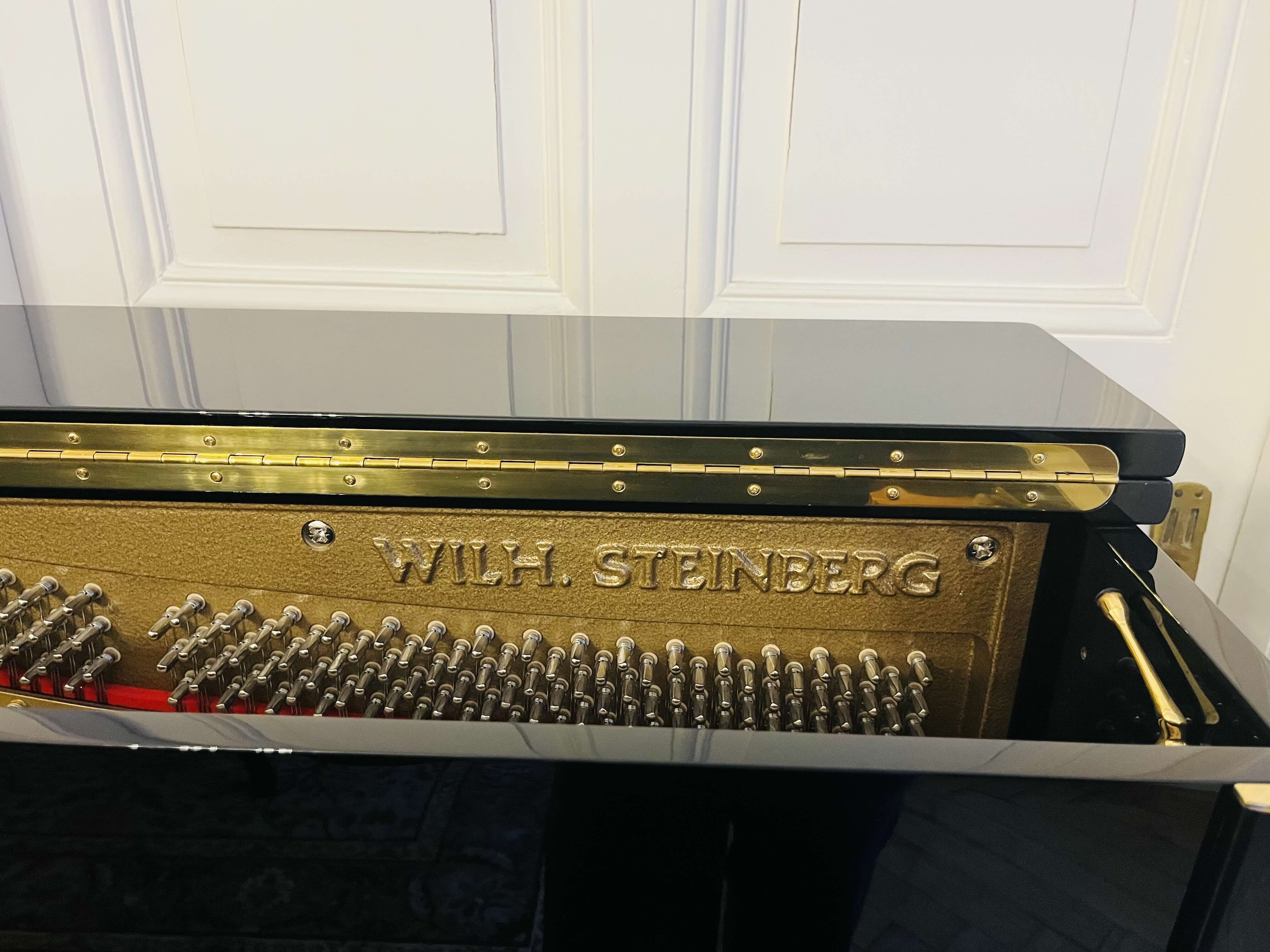 Steinberg IQ 28