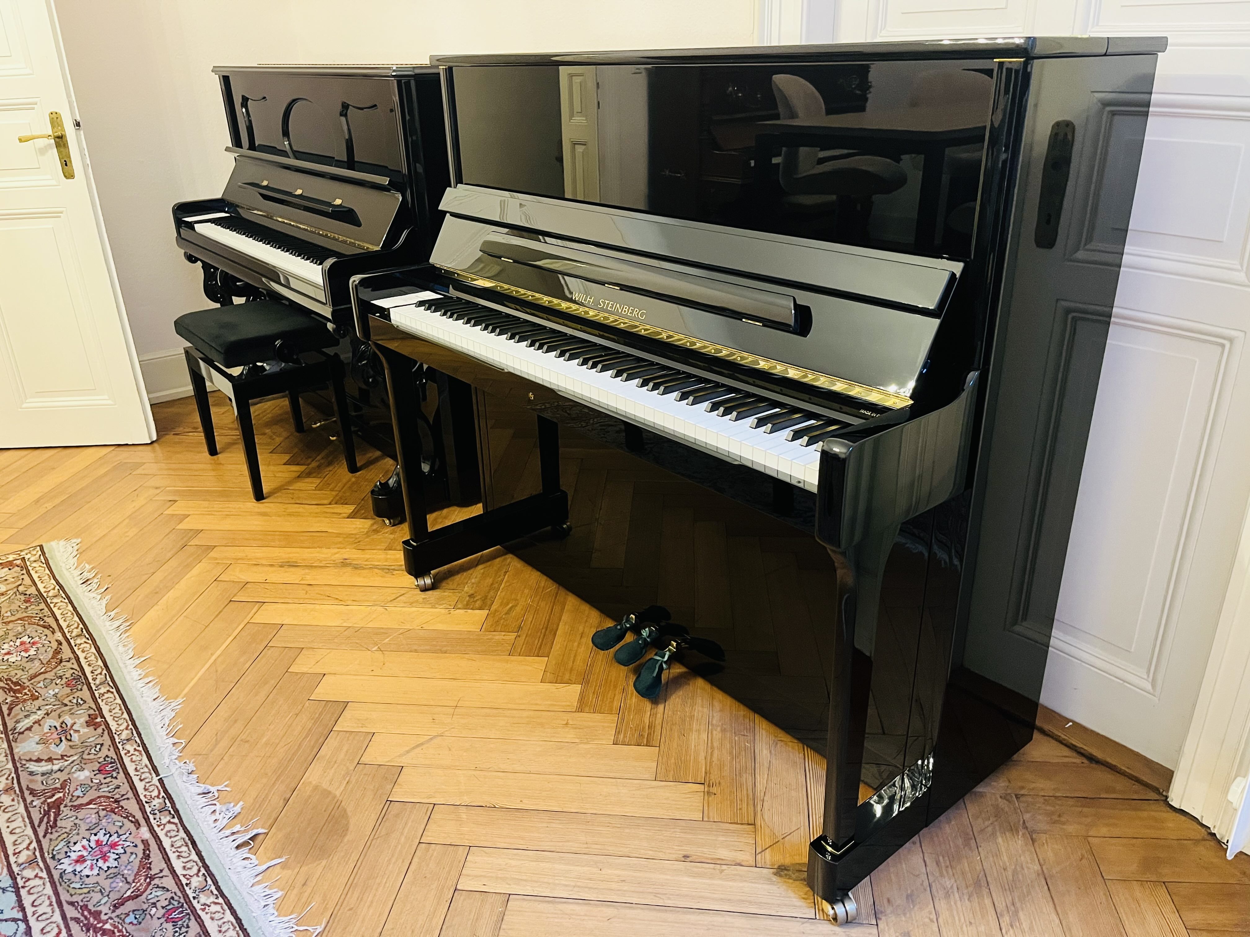 Steinberg IQ 28