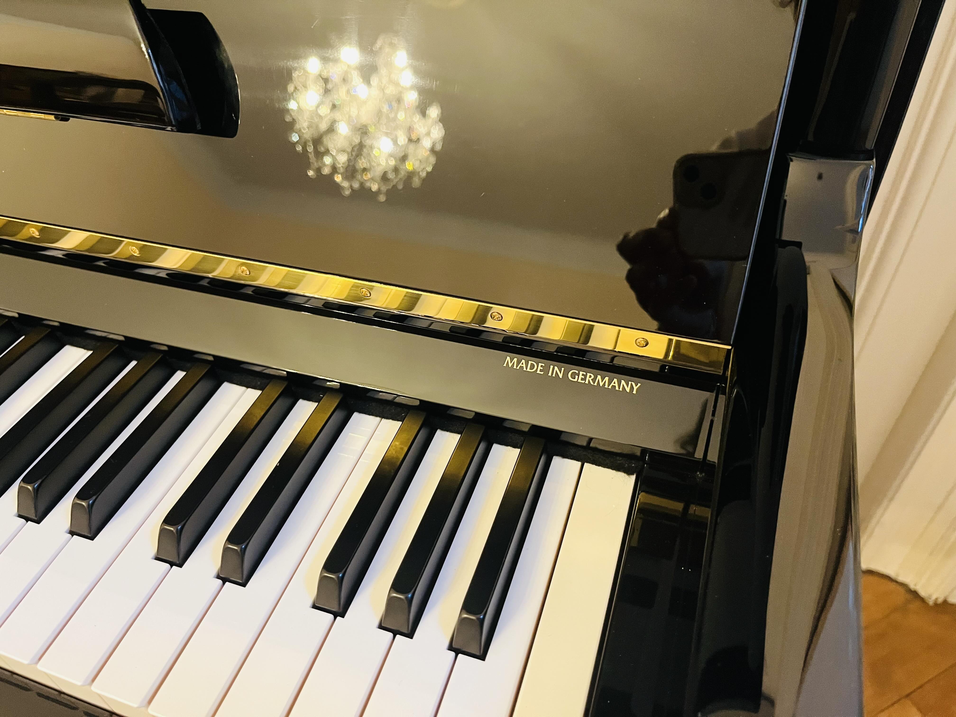 Steinberg IQ 28