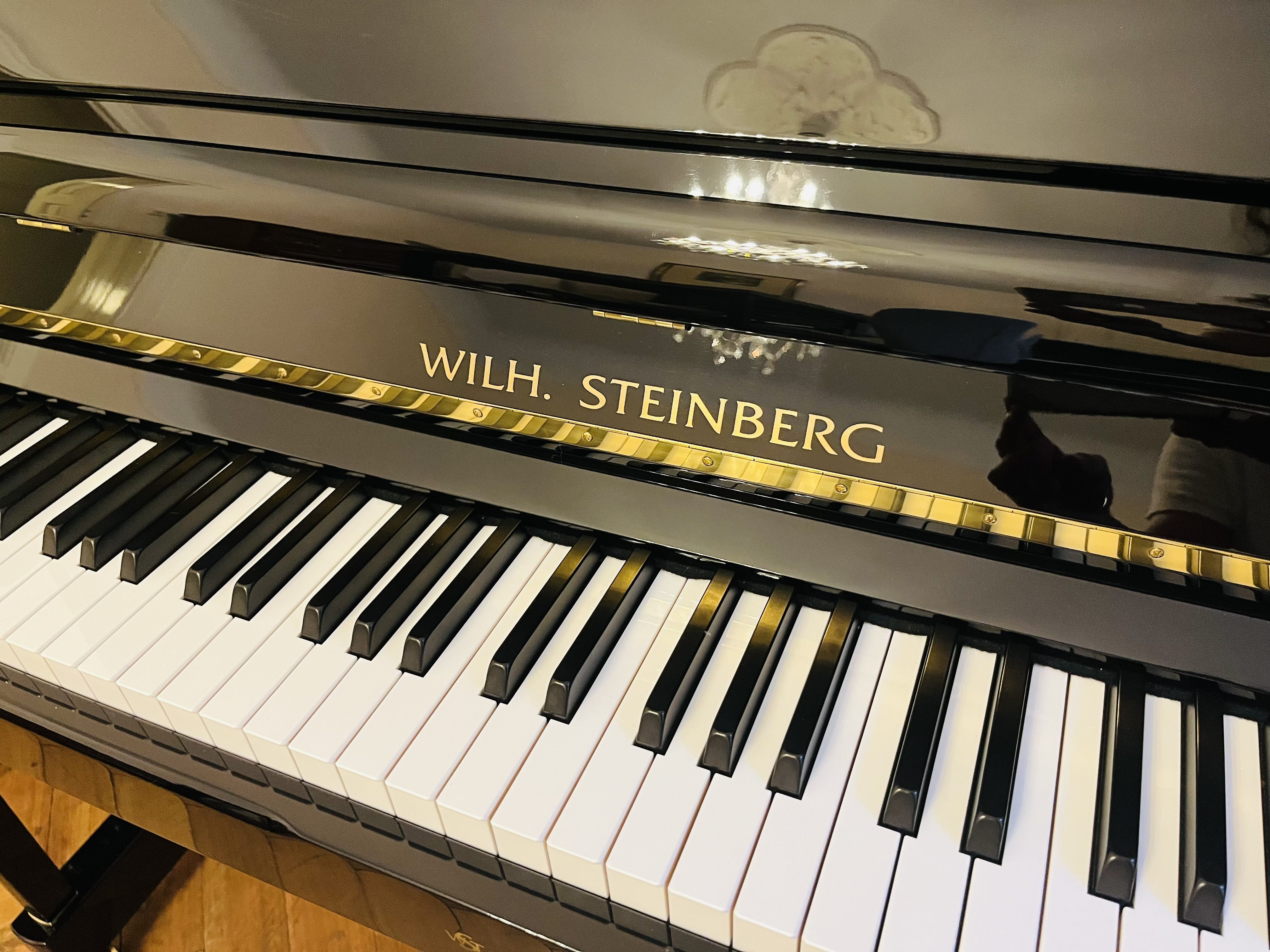 Steinberg IQ 28